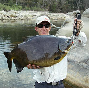 Record photograph for Piaractus mesopotamicus